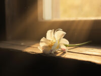 grief