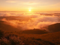 sunrise